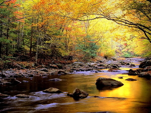 herfst-landschap-natuur-stroom-rivier-achtergrond