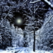 sneeuw-vrolijk-kerstfeest-winter-natuur-achtergrond