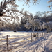 sneeuw-winter-vorst-natuur-achtergrond