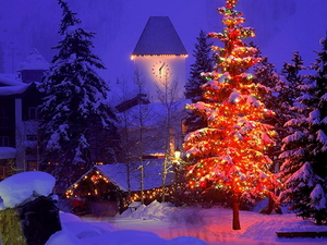 winter-kerstboom-sneeuw-kerstmis-achtergrond