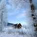 winter-landschappen-sneeuw-vorst-achtergrond