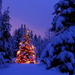 winter-sneeuw-kerstboom-balsemzilverspar-achtergrond
