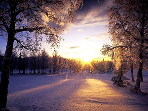 winter-sneeuw-natuur-licht-achtergrond