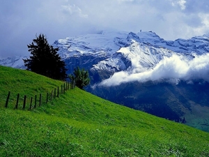 bergen-zwitserland-hoogland-natuur-achtergrond