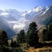 zwitserland-bergen-natuur-balsemzilverspar-achtergrond