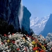 zwitserland-natuur-bergen-bloemen-achtergrond