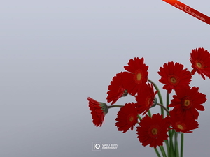 bloemen-sony-vaio-barberton-daisy-gerbera-achtergrond