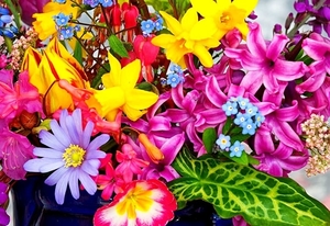 bloem-mozaiek-bloemen-boeket-bloemblad-achtergrond