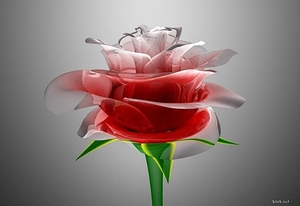 fantastische-bloemen-roze-roos-achtergrond