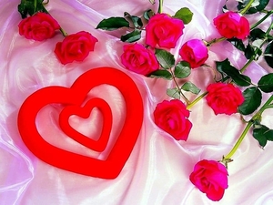 hart-roze-roos-bloemen-achtergrond
