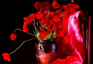 papaver-rode-stilleven-bloemen-achtergrond