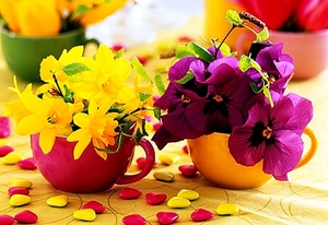 stilleven-bloemen-bloemblad-gele-achtergrond