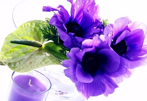 stilleven-paarse-bloemen-bloemblad-achtergrond
