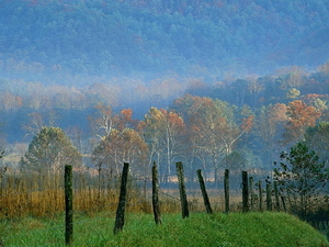 herfst-landschap-natuur-veld-achtergrond
