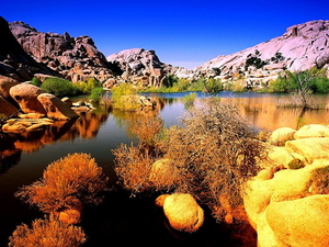 joshua-tree-national-park-natuur-herfst-landschap-californie-acht