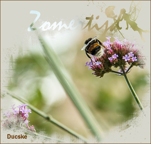 Ducske(2)