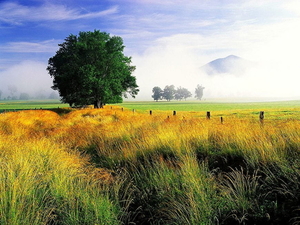 herfst-landschap-natuur-prairie-weide-achtergrond