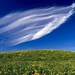 weide-natuur-veld-prairie-achtergrond