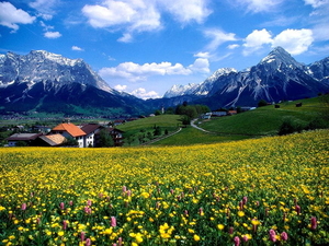 frankrijk-weide-natuur-bergen-achtergrond