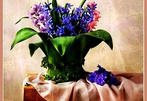 bloemen-stilleven-boeket-snijbloemen-achtergrond (1)
