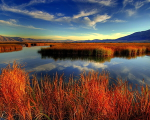 natuur-herfst-landschap-reflectie-meer-achtergrond