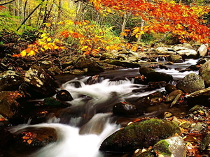 stroom-natuur-bergrivier-herfst-achtergrond