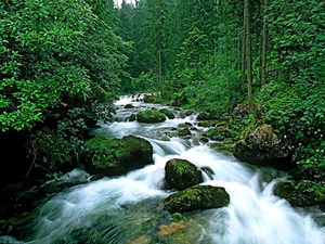 stroom-natuur-woud-waterval-achtergrond