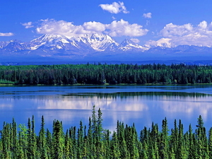 zomer-natuur-bergen-reflectie-achtergrond