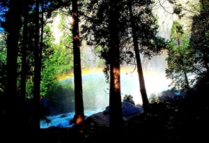 natuur-regenboog-woud-zonlicht-achtergrond