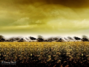 fantasie-natuur-gele-veld-achtergrond