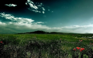 groene-natuur-weide-wolken-achtergrond