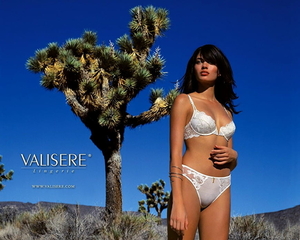 valisere-bikini-meisjes-zomer-achtergrond