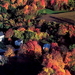 herfst-landschap-natuur-luchtfotografie-achtergrond