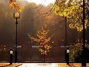 tuin-gele-herfst-straatlantaarn-achtergrond