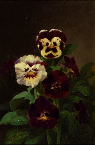 pansies-john_williamson-1862