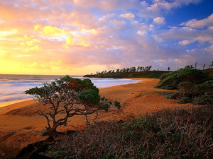 hawai-natuur-kust-strand-achtergrond