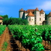 kasteel-natuur-landbouw-wijngaard-achtergrond