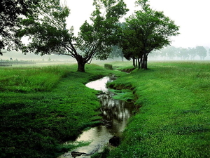natuur-groene-veld-rivier-achtergrond