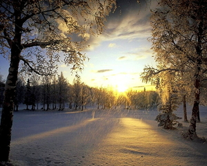 winter-sneeuw-natuur-zonsopkomst-achtergrond
