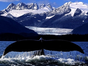 flaine-walvis-araches-la-frasse-frankrijk-achtergrond