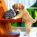 honden-kleine-dieren-puppys-leuke-achtergrond