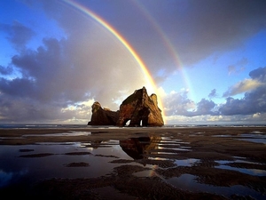 nationaal-park-kahurangi-nieuw-zeeland-natuur-regenboog-achtergro