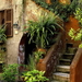 italie-kamerplant-huis-tuin-achtergrond