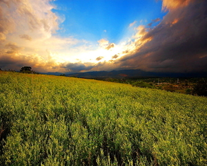 natuur-veld-wolken-weide-achtergrond