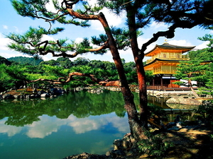 kinkaku-ji-kioto-japan-tuin-achtergrond