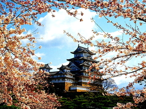 tempel-bloemen-bloesem-voorjaar-achtergrond