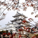 tempel-japanse-architectuur-bloemen-bloesem-achtergrond