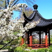 tempel-japanse-architectuur-chinese-bloemen-achtergrond