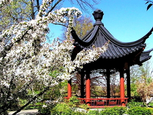 tempel-japanse-architectuur-chinese-bloemen-achtergrond