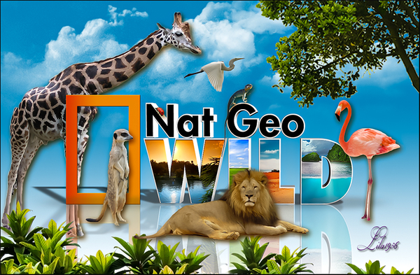 national geo wild wallpaper1